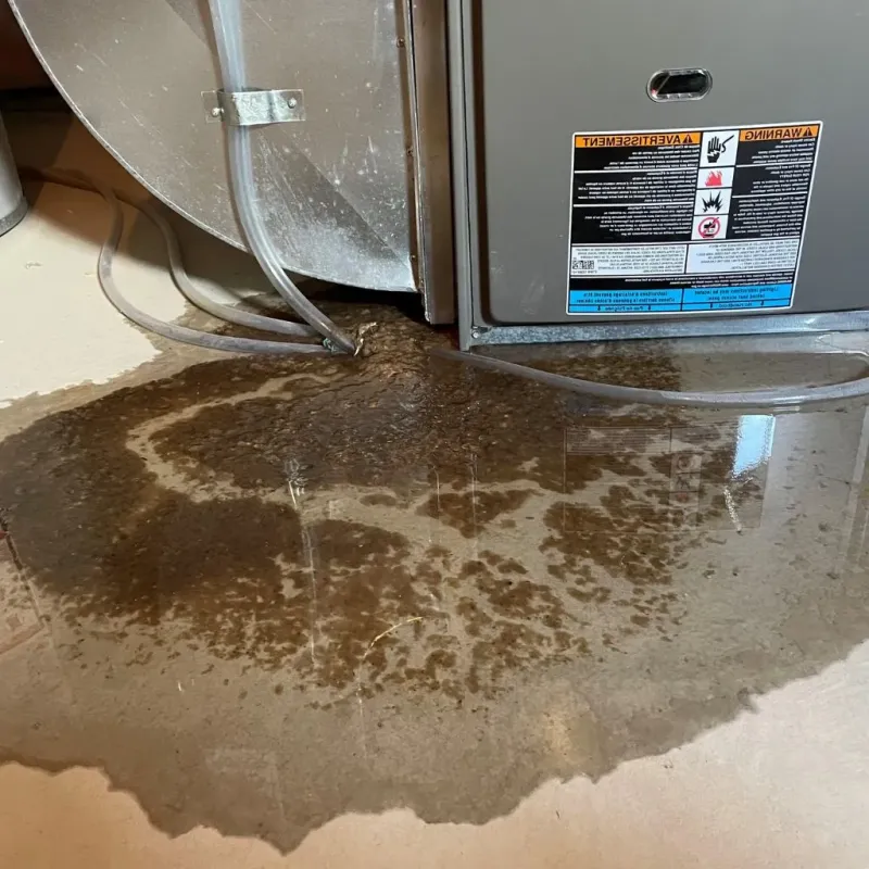 Pipe Burst and Leak Restoration in Gallia County, OH