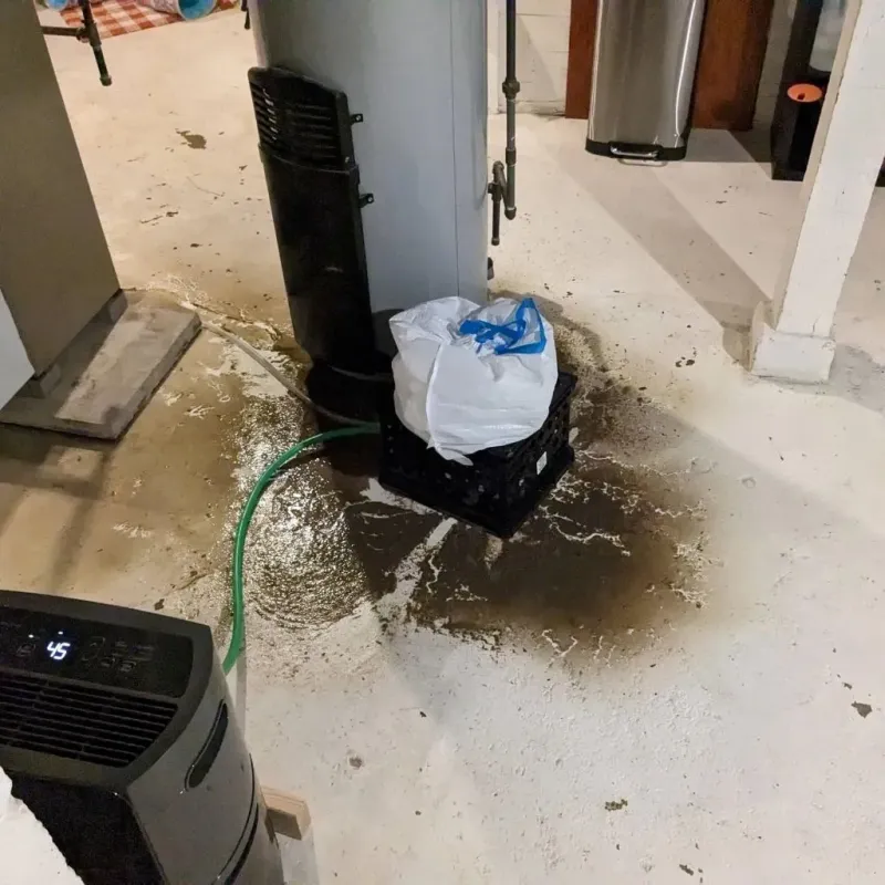 Sewage Backup Cleanup Service in Gallia County, OH
